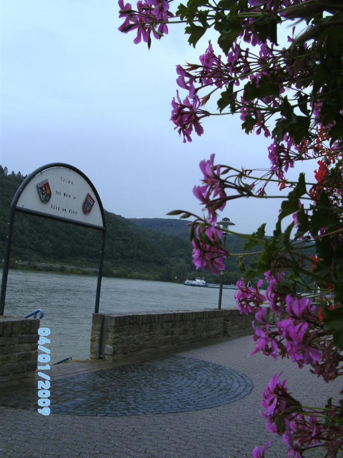 Zur Schottel / Restaurant Bella Vista Spay Zewnętrze zdjęcie